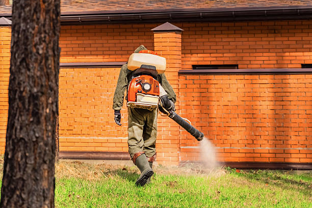Bed Bug Clearance Verification and Documentation in Adelphi